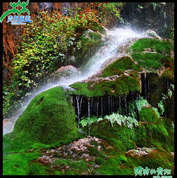 紫江地缝：一场华丽丽的智商税收割现场