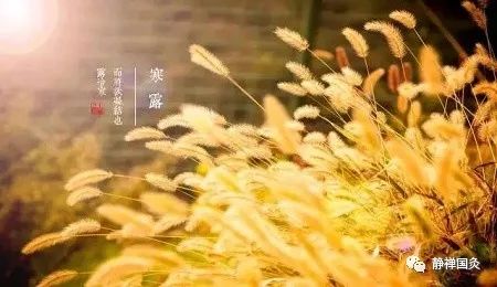 江南寒露习俗，寒露节气特色一览