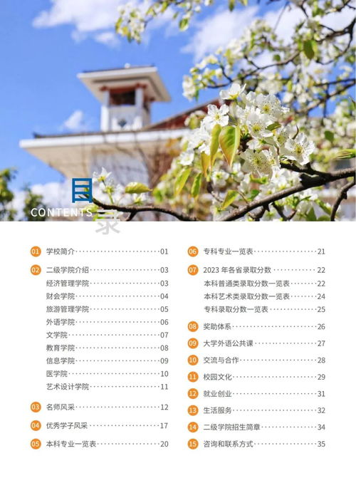 前言:为什么要在这个时候去云南?