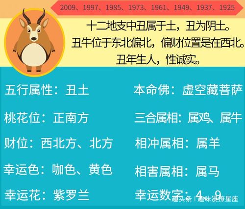 健康這回事兒──別拿身體當兒戲!