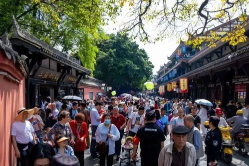 滁州文化景点、 非遗体验、亲子研学