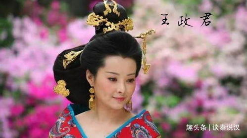 王政君：猪命福德与阴阳五行秘术