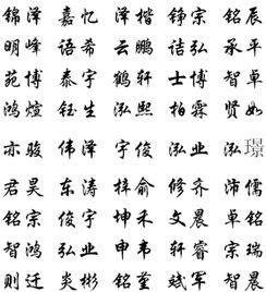 2. 补足“水”，赋予灵动与智慧