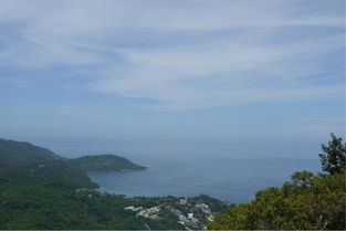 寻觅海鲜：路途中的那些奇葩