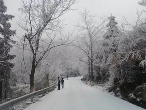 云贵地区：雾松、云海和星星点点的积雪