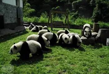 先说说票价吧