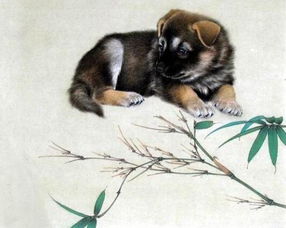 属狗的人：忠诚之财还是无妄之灾？