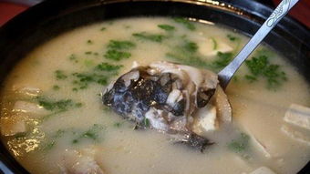 丽水特色美食探寻之旅，你准备良好一尝为迅速了吗？