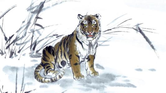 如虎添翼的生肖虎招财转运物件是什么？