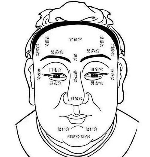 震惊！2026年最邪门的看脸秘籍大公开