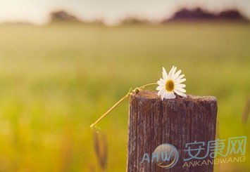 诗意网名