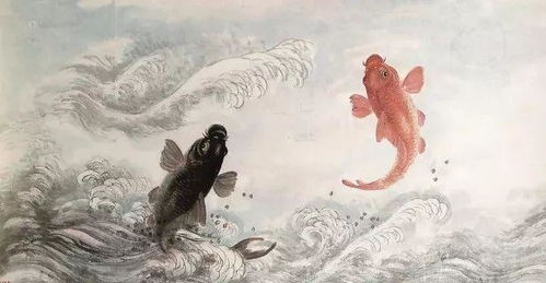 门后鬼影的半吊子传闻