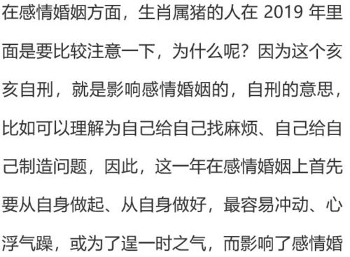 震惊！2026年考试运爆棚的年份大揭秘！不看后悔一辈子！
