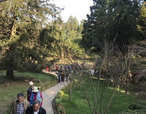花径：仙境不是梦