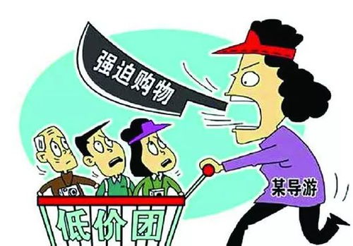 青海长云国际旅行社虚假宣传， 游客权益受损