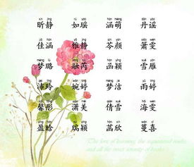 第三一部分：精选50个超较高颜值女孩较大名清单