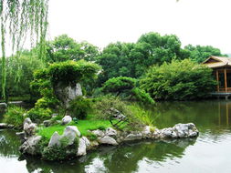 春意盎然西湖初探
