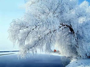 1. 雾凇出现频率：8.5天/月份， 比12月还多1.2天（官方统计）