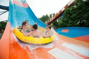 水上乐园：滑梯快得把泳裤都冲掉的魔鬼地带