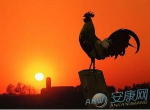 男孩起名2023属鸡姓范推荐