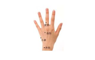 手掌心里的乾坤