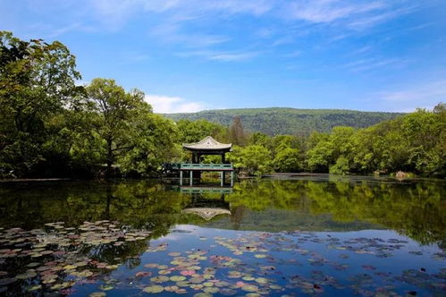 六、 实用Tips & 小贴士（杂乱无章版）