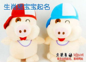 三、 猪年宝宝常用吉祥字推荐 (按性别分类)