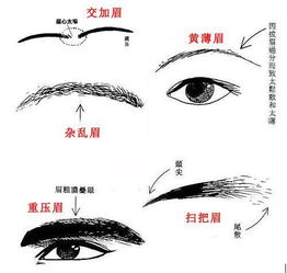 修眉毛的风水讲究有哪些？眉毛的风水相学说能改吗？