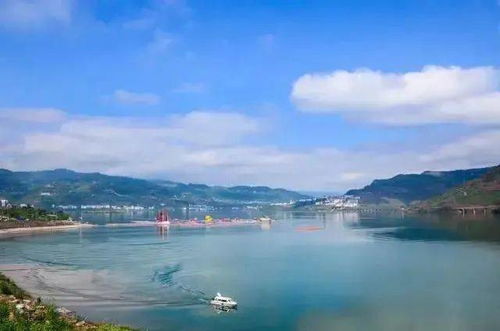 五、 生态保护？先保护保护我的肺