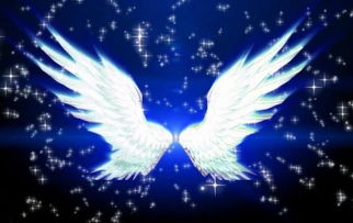 双鱼座专属武魂究竟是什么？十二星座的神秘武魂大