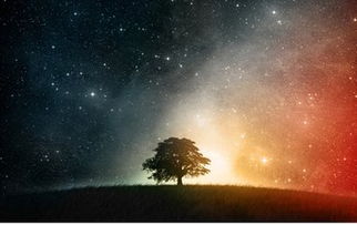 夜幕降临， 纳斯卡线条下鬼影幢幢，谁在矮小语？
