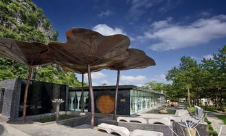 儿童俱乐部：当代育儿版