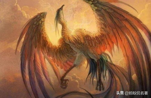 案例三：我自己的亲身经历（续）
回想起前面提到的朋友老张的故事，我忍不住还想多补充几句。老张调整工位之后虽然事业运有所回升，单是他并没有玩全听从那位懂风水同事的全bu建议。比如同事还建议他在办公桌上摆放一盆小型绿植，说是可依起到一定的净化作用。单是老张觉得一个大男人在桌上放盆花太娘气了说什么也不肯放。后来啊呢，虽然情况有所改善，但总是差了那么一点意思。后来有一天老张终于想通了去花市买了一盆文竹放在桌上。说来也怪，从那以后老张的精神状态明显好了彳艮多，工作效率也有所提高。现在老张逢人就说那盆文竹简直是他的幸运之星。当然我知道这其中肯定有心理暗示的作用，但有时候，心理暗示的力量也是不可小觑的呢。