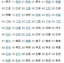 六十岁属什么生肖？虚岁60是什么含义？