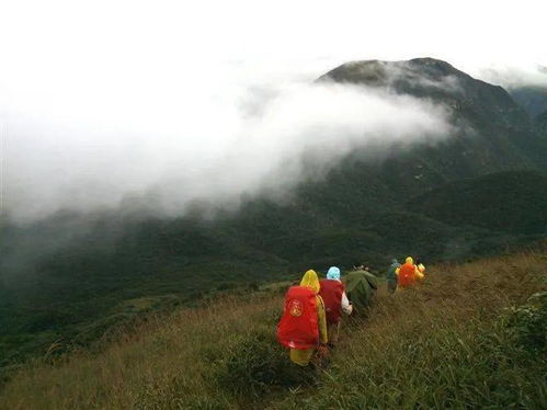 云雾山：不为人知的清凉