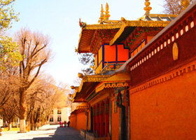 不靠谱路线