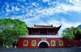 相山公园：绿得让人想报警