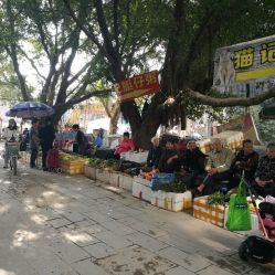 救命！这个古港快要变成宰客港了