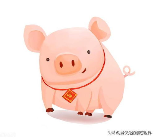 四、传统文化中的生肖习俗