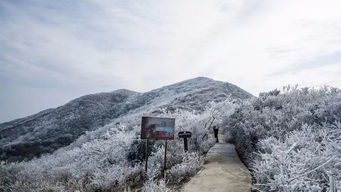 三、北国的冬日童话：巴彦的冰雪奇缘（如guo下雪的话）
