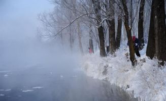 呼伦贝尔草原：冰雪下的梦幻
