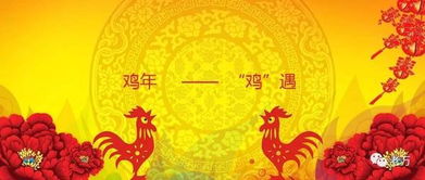 2026丙午鸡年：酉金遇燥，稳步收获之年，双喜临门？