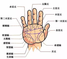 新派八字断婚姻,八字断婚姻秘法