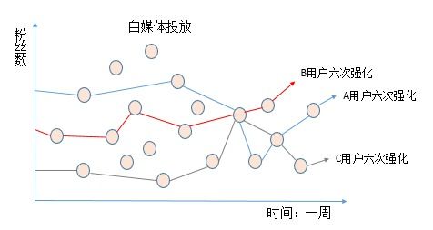 1. 专业领域