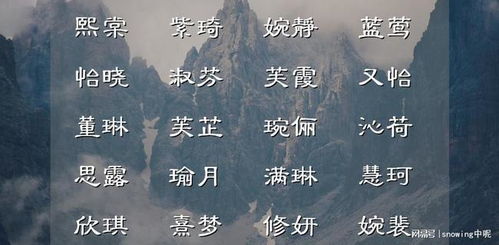 老掉牙套餐：乔文博、乔思远