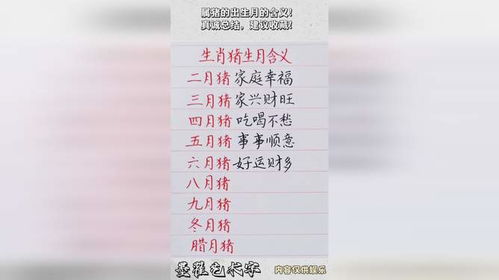 特别提示：