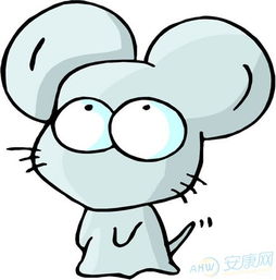 11属于什么生肖？1到49数字分别代表哪些生肖？