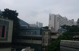 上海沙田公寓：迪士尼隔壁的破烂天堂，2026年黄历说宜出行