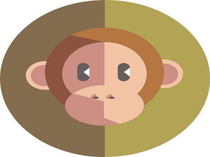 2017年1月出生的人属什么生肖？2017年1月份的生肖是什么？