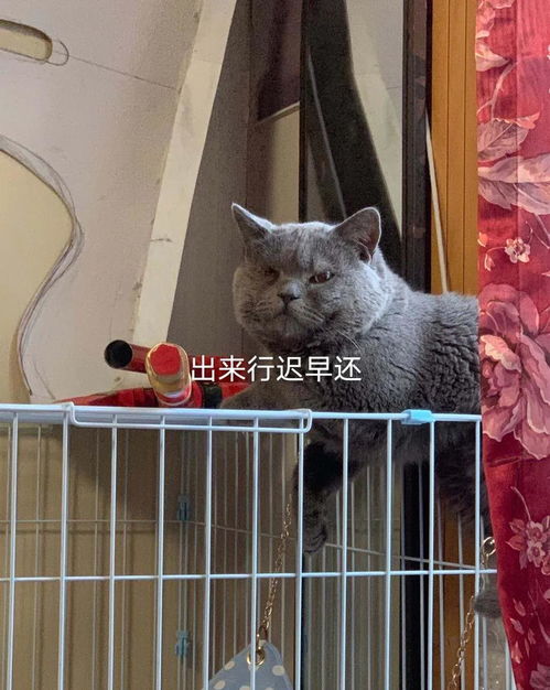 三、社会周边环境阶层分化造成的隔阂